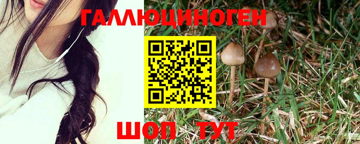 Псилоцибиновые грибы ЛСД Жуковский