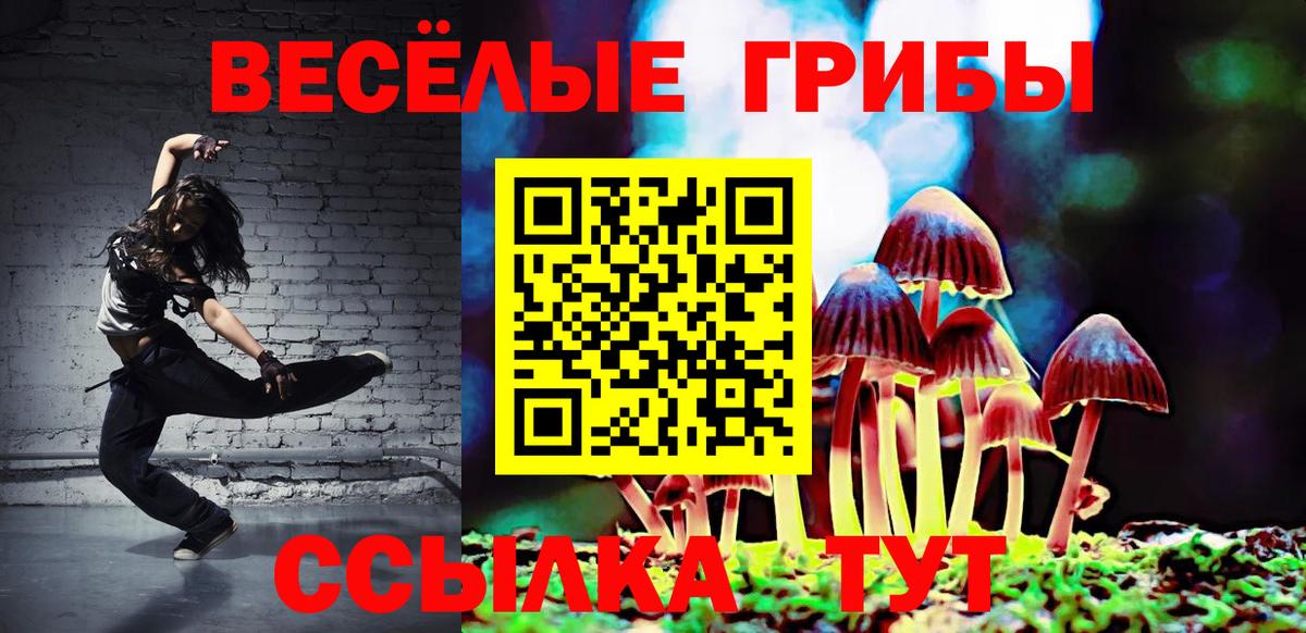 Жуковский  Псилоцибиновые грибы GOLDEN TEACHER  купить   Вход с VPN 